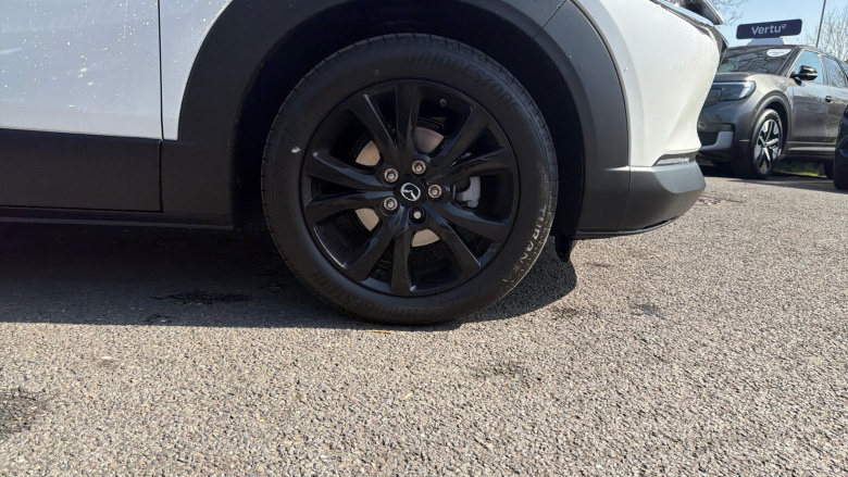 Mazda CX-30 2.0 e-Skyactiv X MHEV Homura 5dr Auto [Sunroof] Petrol Hatchback